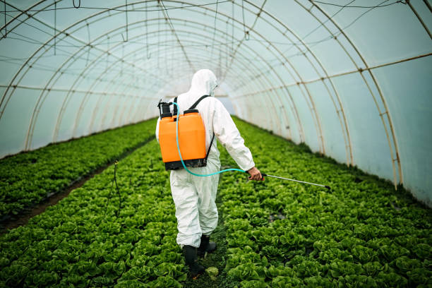 Pest Prevention Services in Middletown, MD
