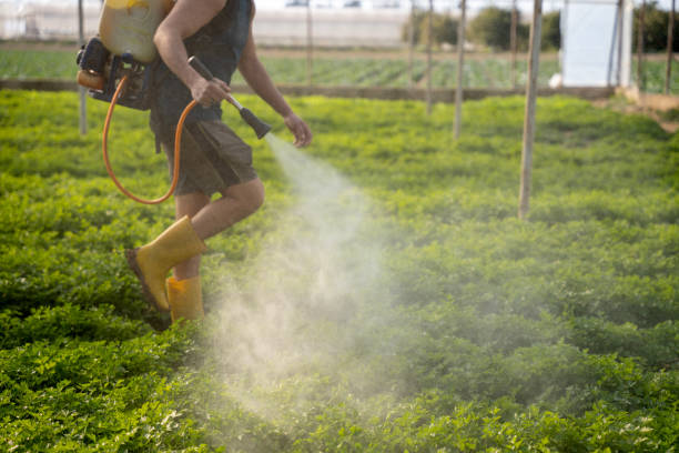 Best Local Pest Control Services  in Middletown, MD