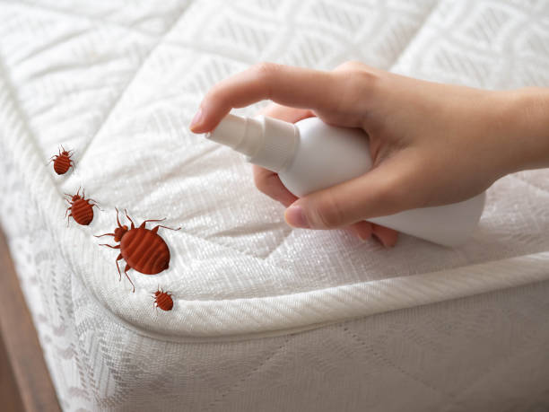Best Affordable Pest Control Services  in Middletown, MD