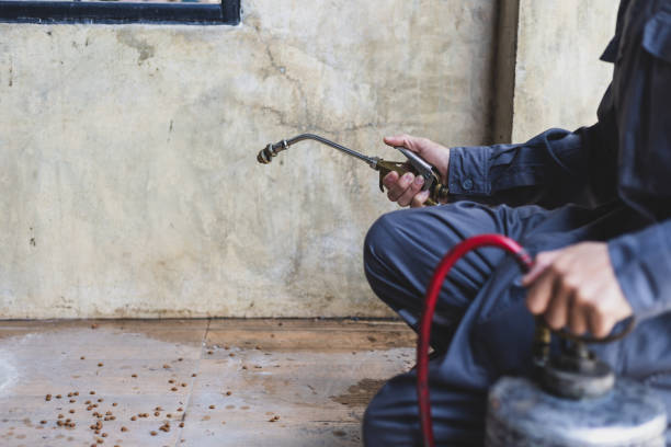 Best Mosquito Control Services  in Middletown, MD